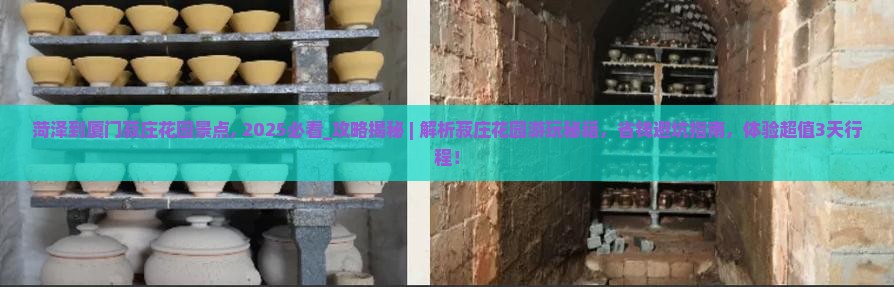 菏泽到厦门菽庄花园景点