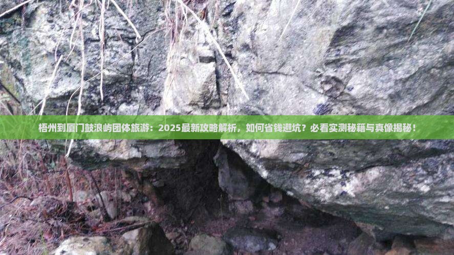 梧州到厦门鼓浪屿团体旅游