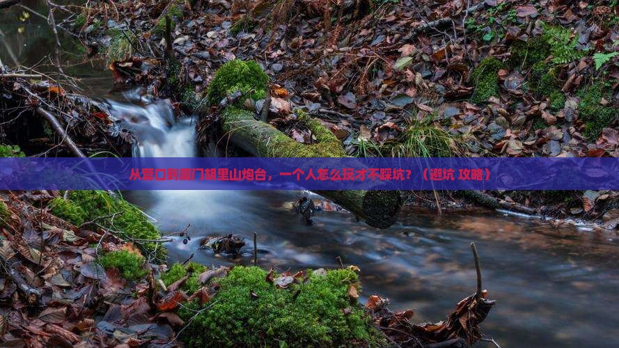 营口到厦门胡里山炮台个人游