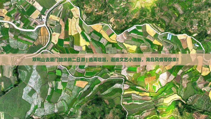 双鸭山去厦门鼓浪屿二日游