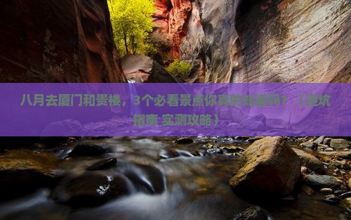 八月到厦门和贵楼景点