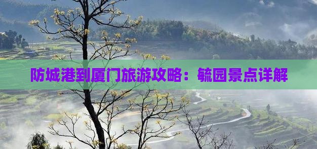 防城港到厦门毓园景点