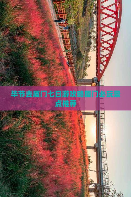 毕节去厦门七日游