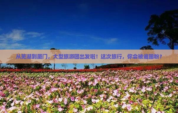 芜湖去厦门大型旅游团