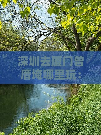 深圳去厦门曾厝埯哪里玩