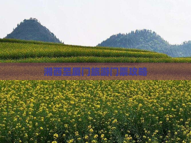 湘西去厦门门票