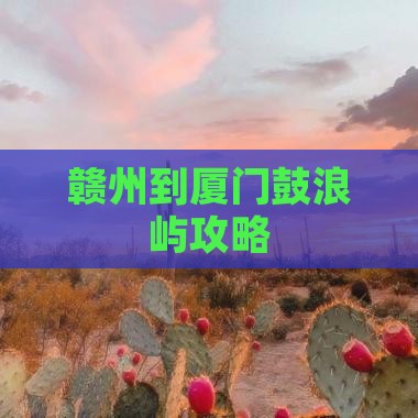 赣州到厦门鼓浪屿攻略