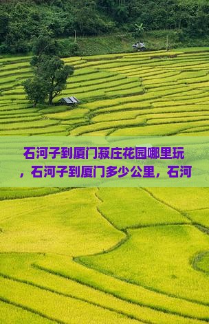 石河子到厦门菽庄花园哪里玩