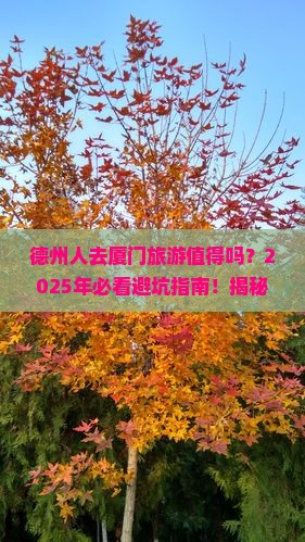 德州去厦门旅游