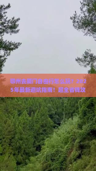 鄂州去厦门自由行