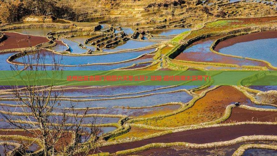 达州去厦门毓园六日游