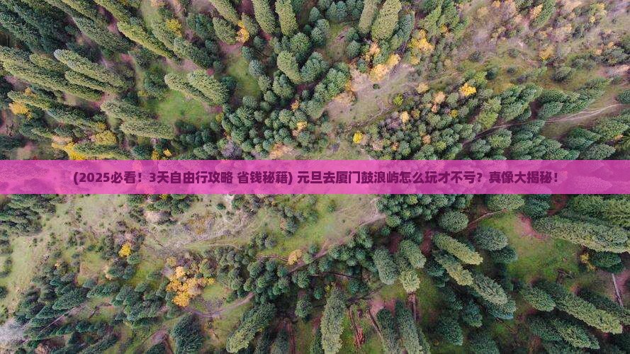 元旦到厦门鼓浪屿自由团
