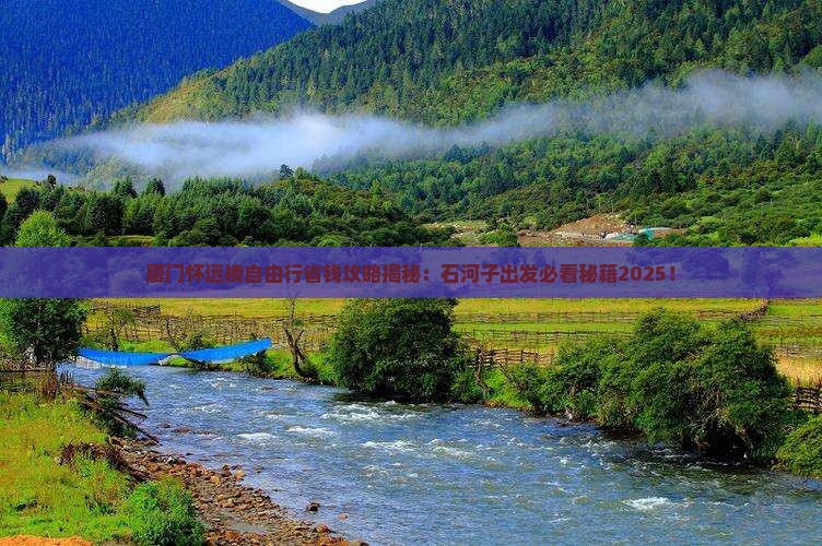 石河子到厦门怀远楼自由团