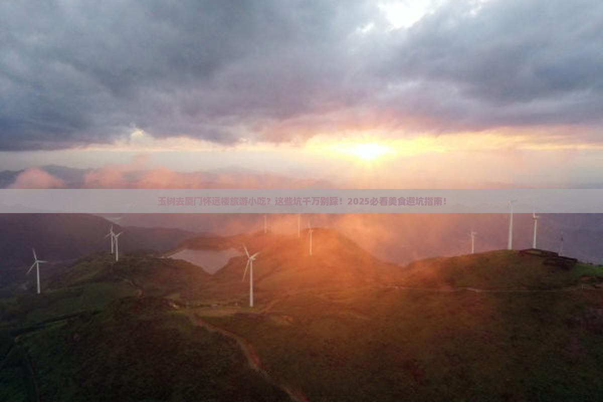 玉树去厦门怀远楼旅游小吃