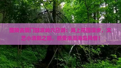 醴陵去厦门鼓浪屿六日游