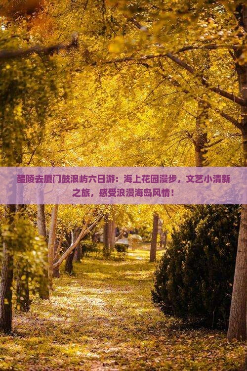 醴陵去厦门鼓浪屿六日游