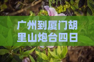 广州到厦门胡里山炮台四日游