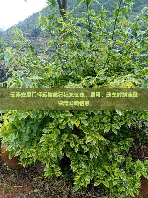 云浮去厦门怀远楼旅行社