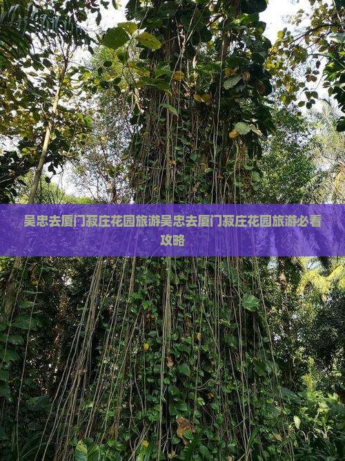 吴忠去厦门菽庄花园旅游
