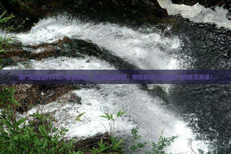 三亚去厦门毓园必去地