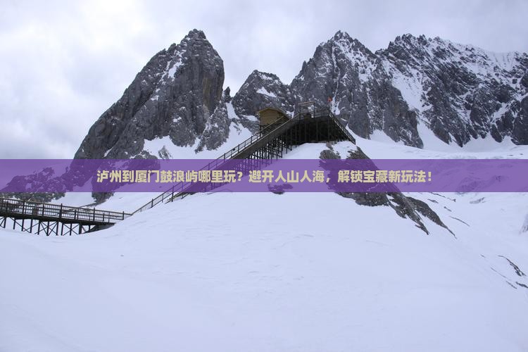 泸州到厦门鼓浪屿哪里玩