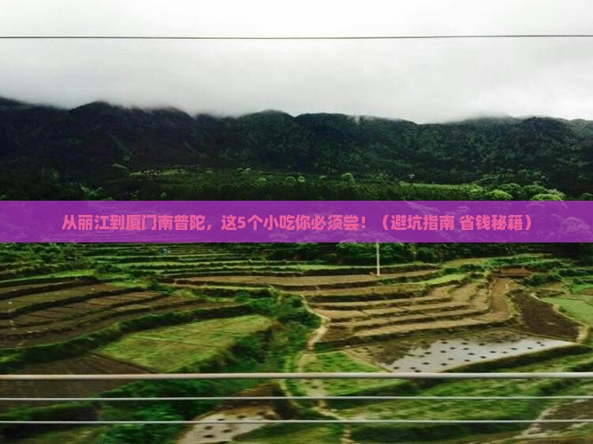 丽江到厦门南普陀旅游小吃