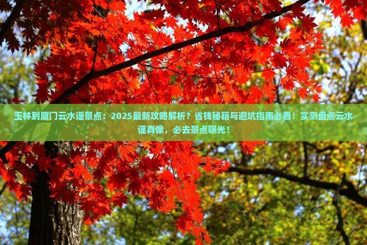 玉林到厦门云水谣景点