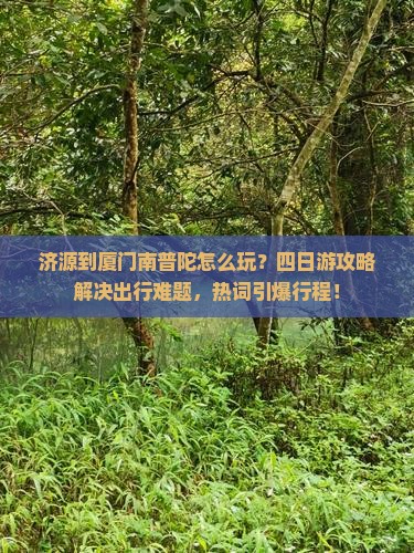 济源到厦门南普陀四日游