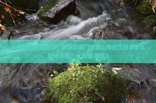 巢湖到厦门胡里山炮台三日游
