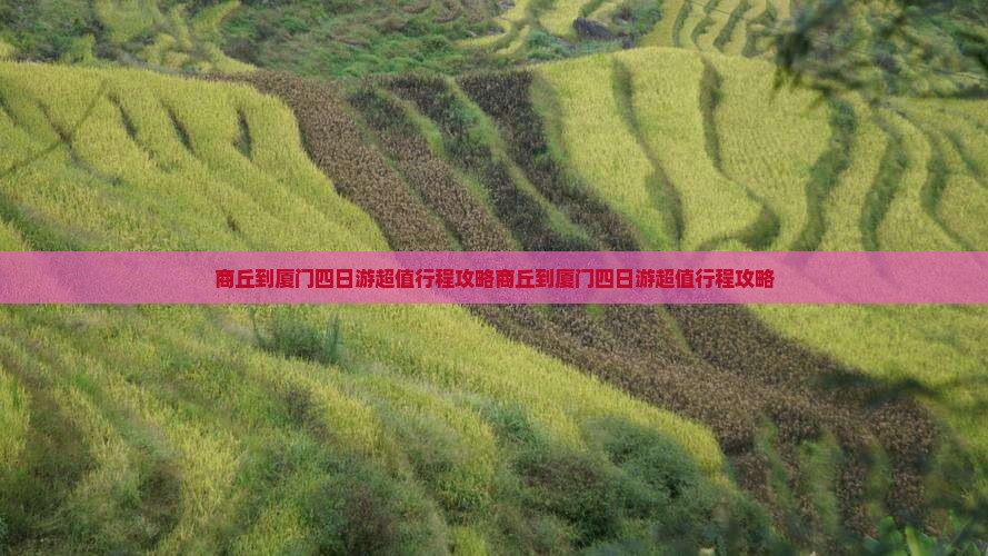 商丘到厦门四日游