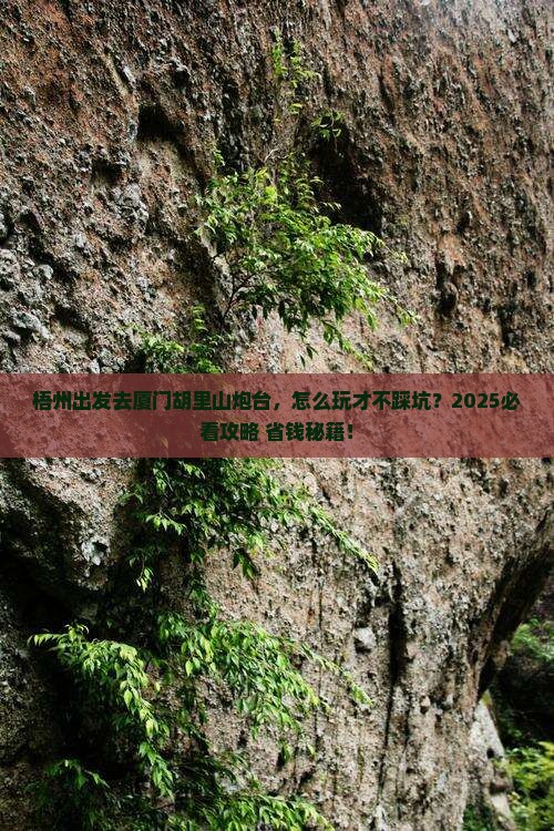 梧州到厦门胡里山炮台旅行社