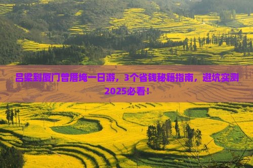 吕梁到厦门曾厝埯一日