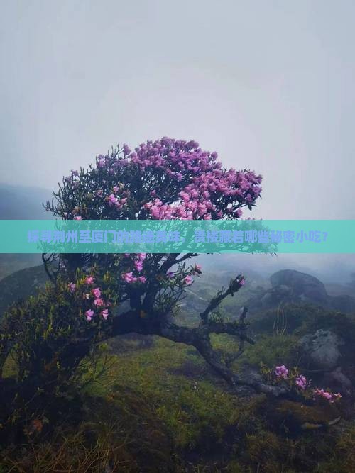 荆州去厦门和贵楼旅游小吃