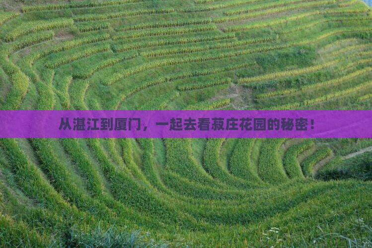 湛江到厦门菽庄花园团体旅游