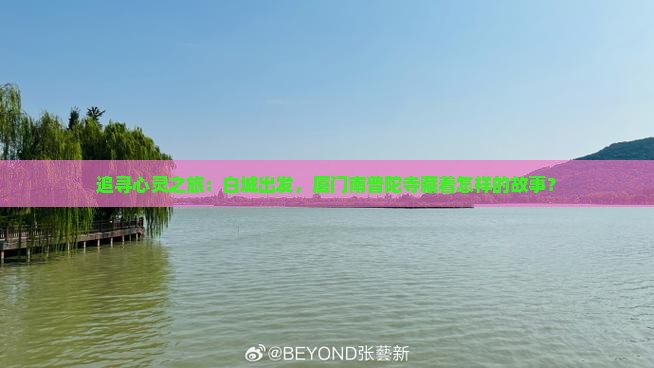 白城到厦门南普陀景点