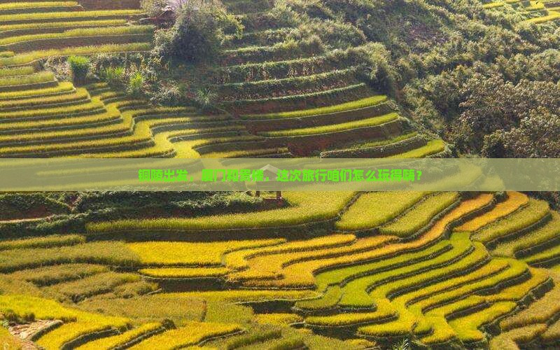 铜陵去厦门和贵楼哪里玩