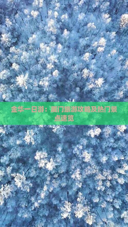 金华到厦门一日