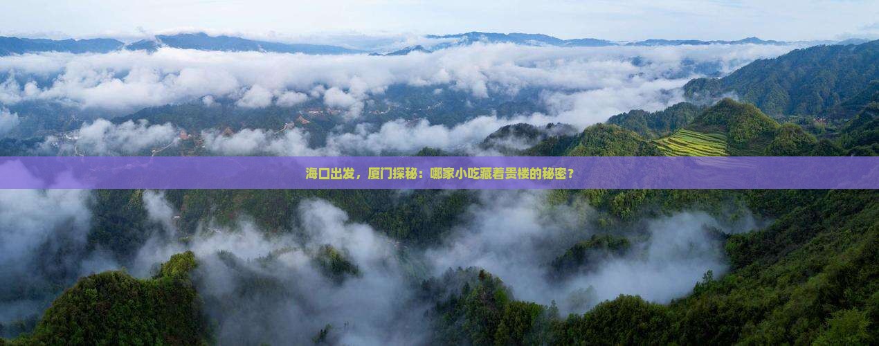 海口到厦门和贵楼旅游小吃