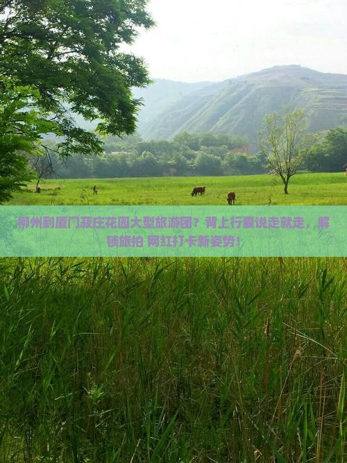 柳州到厦门菽庄花园大型旅游团