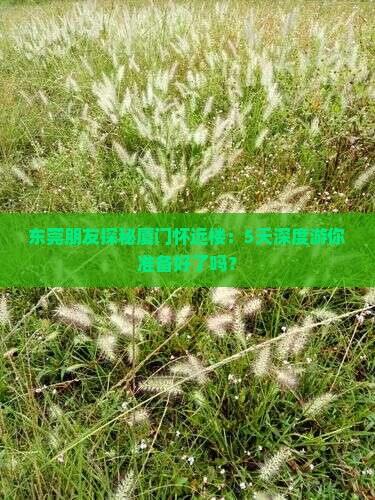 东莞到厦门怀远楼五日游