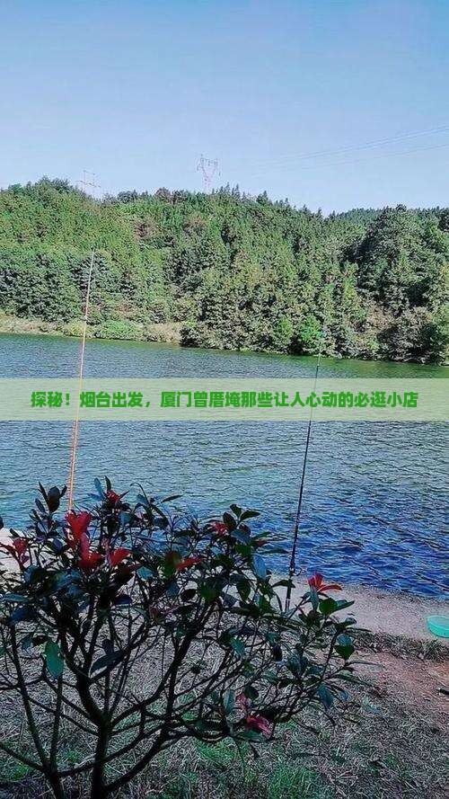 烟台到厦门曾厝埯必去地
