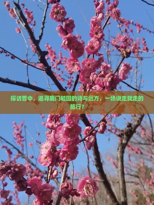 晋中到厦门毓园旅游