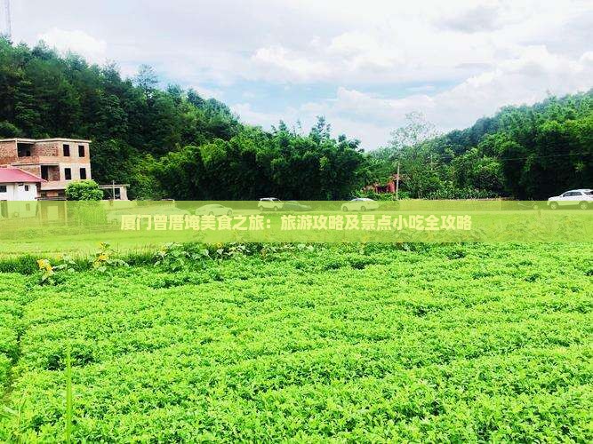 洛阳到厦门曾厝埯旅游小吃