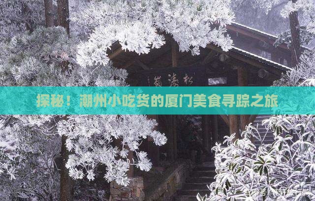 潮州到厦门攻略
