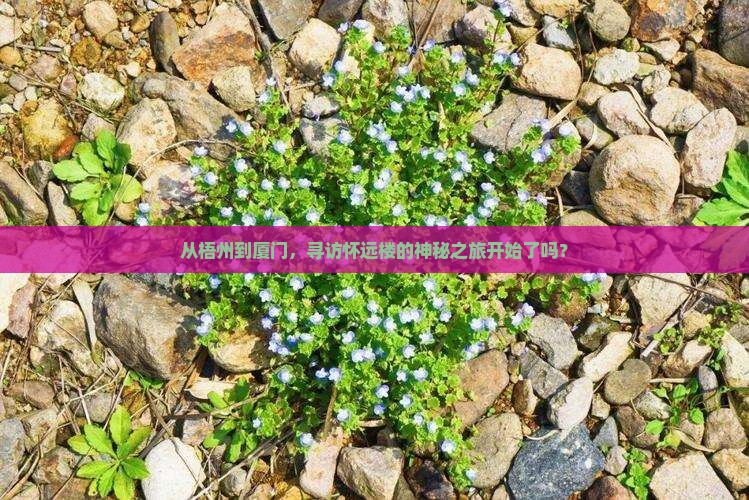 梧州去厦门怀远楼团体旅游