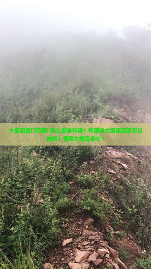 十堰到厦门曾厝埯大型旅游团