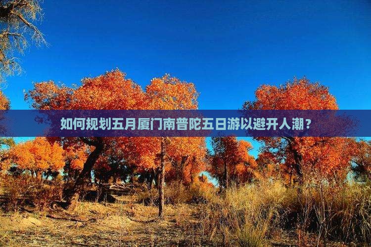 五月到厦门南普陀五日游
