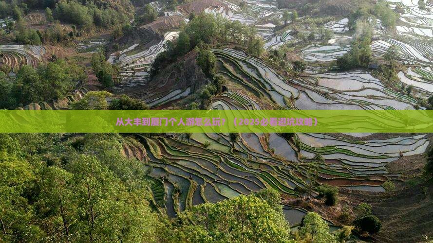 大丰到厦门个人游