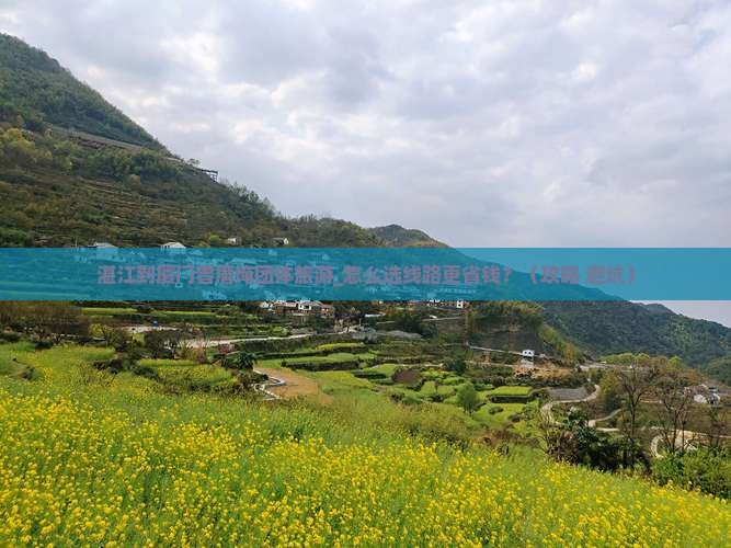 湛江到厦门曾厝埯团体旅游
