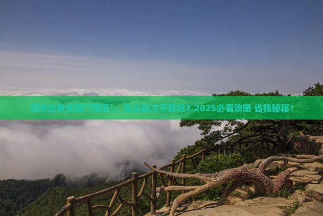 临沂去厦门曾厝埯景点